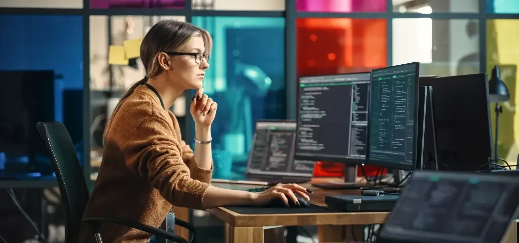 programador